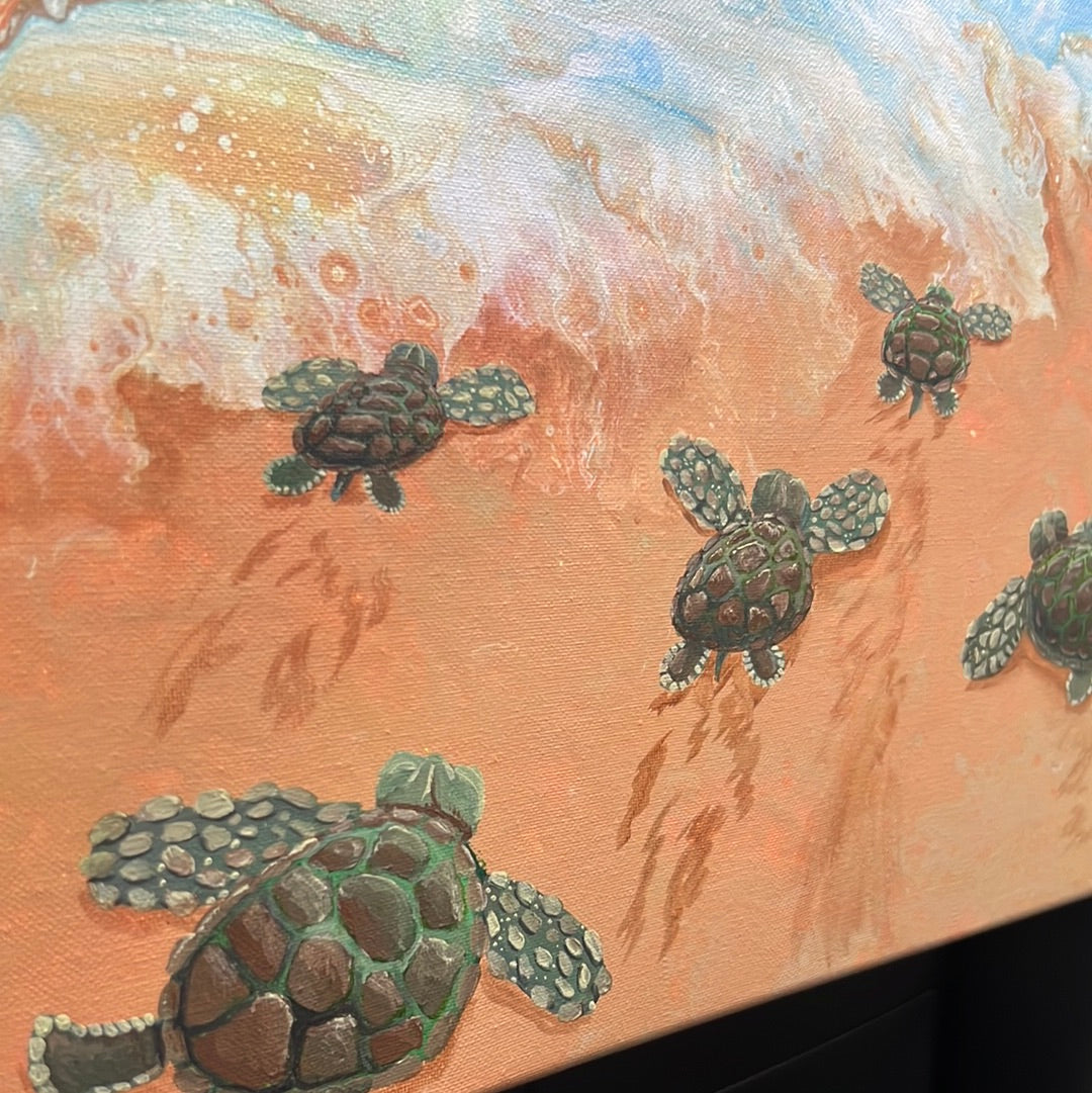 Black Light Turtle Hatch - Magical Night Beach Experience