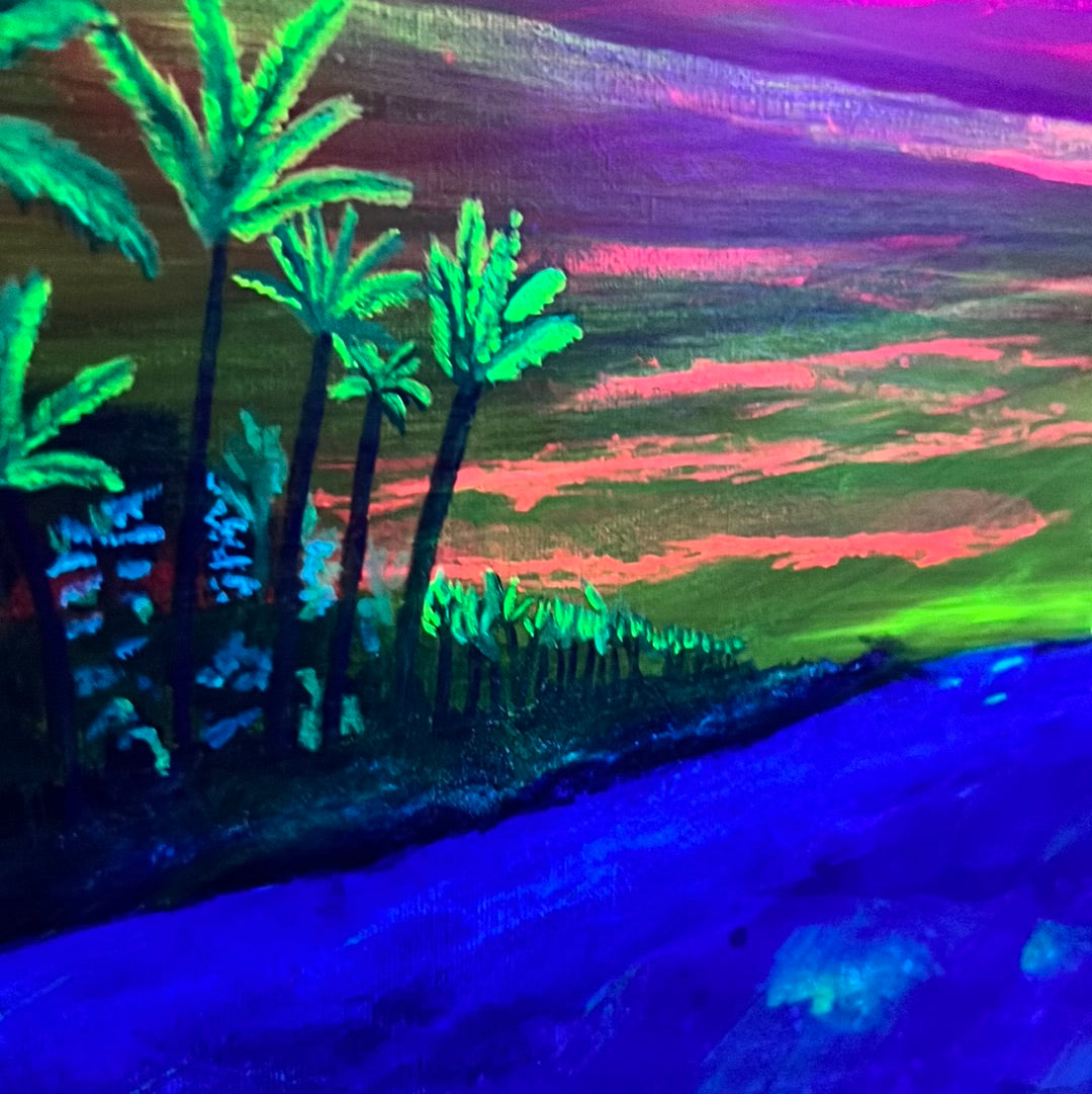 Black Light Turtle Hatch - Magical Night Beach Experience