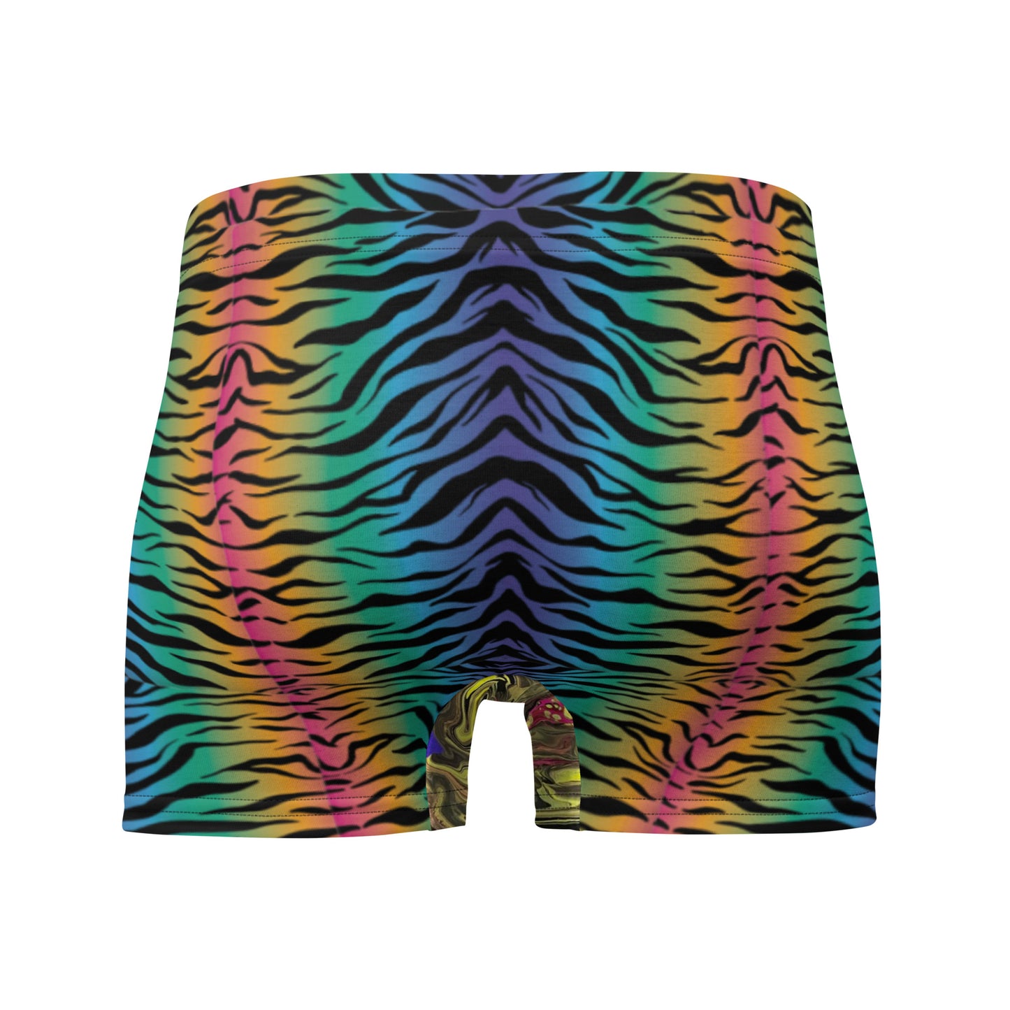 Rainbow Stripe Boxer Briefs