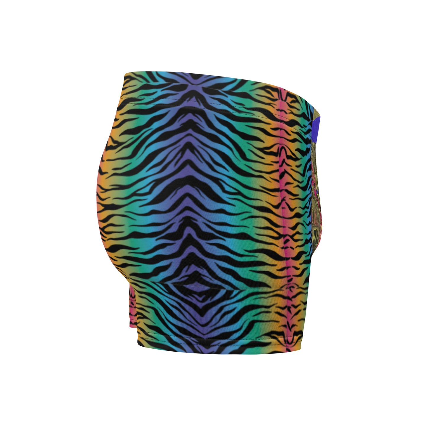 Rainbow Stripe Boxer Briefs