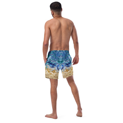 Splash Down Men's swim trunks