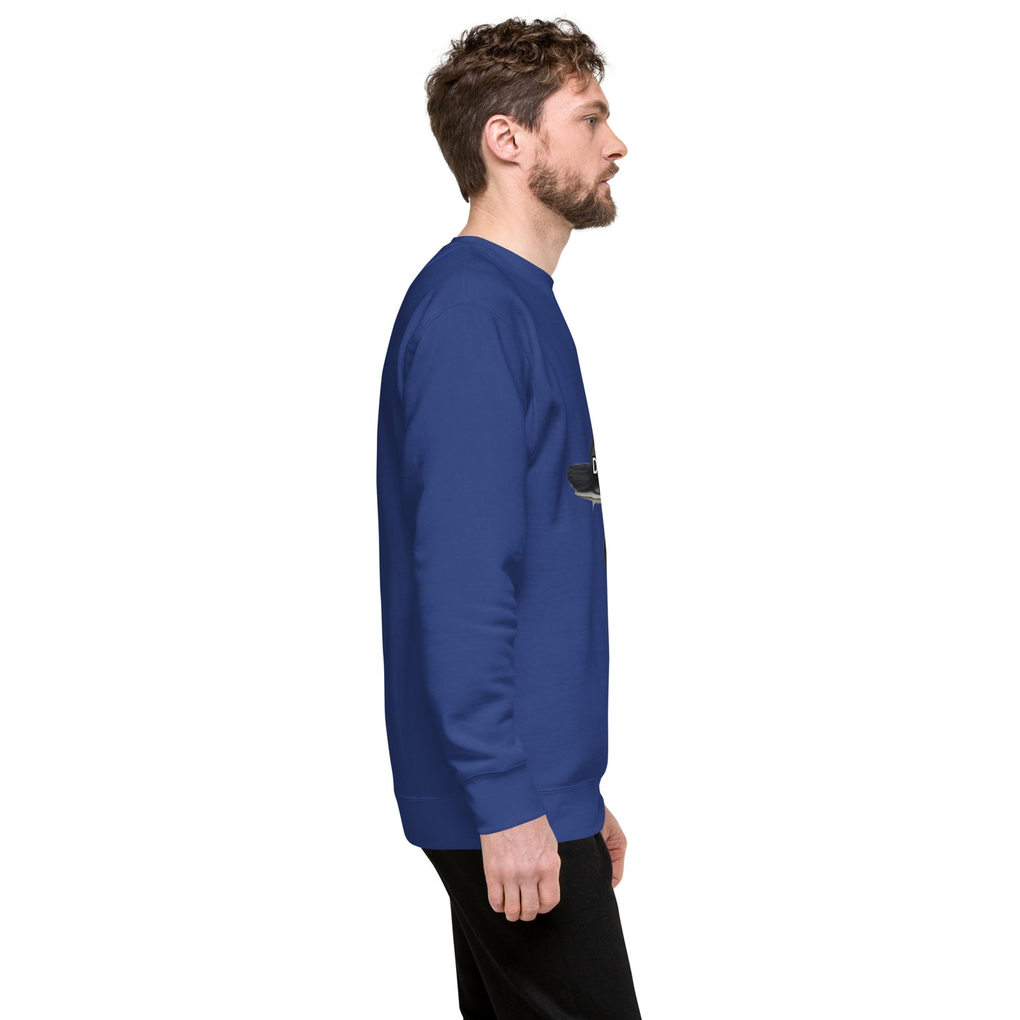 Dubs Hub All Comers Unisex  Premium Sweatshirt